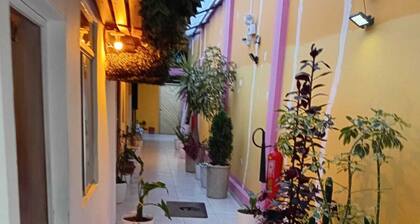 Las concubinas del inca