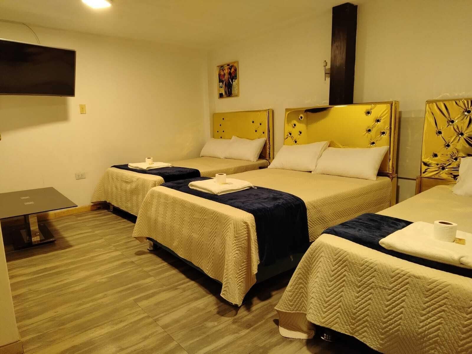 واي فاي مجانًا