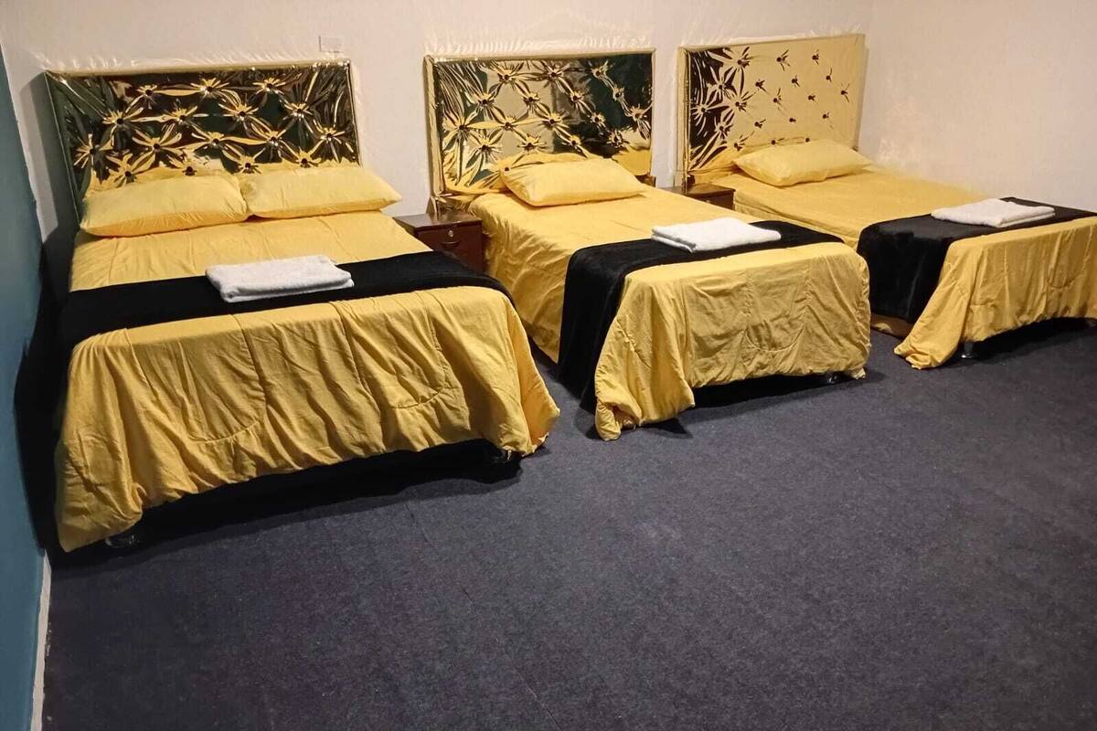 واي فاي مجانًا