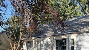 Et hus med en veranda, to Adirondack-stole og et træ foran.