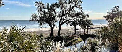 Condo, nhiều giường, có thể sử dụng hồ bơi, quang cảnh biển (Legacy Tower 2 -206) | Quang cảnh từ phòng