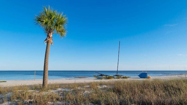 Ein Strand mit einer Palme und Booten.