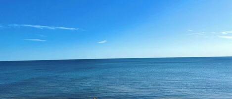 A beach with a clear blue sky and calm sea.