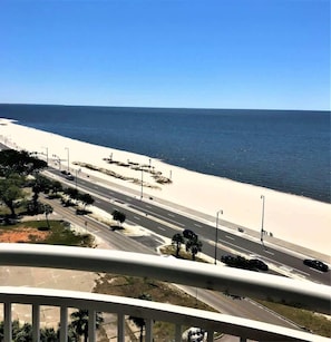 A coastal road with a beach, palm trees, and a clear sky. - Spacious Beachview End Unit in Legacy Tower 1 -1001 - 3 Bedroom 3 Bath Condo (Gulfport)