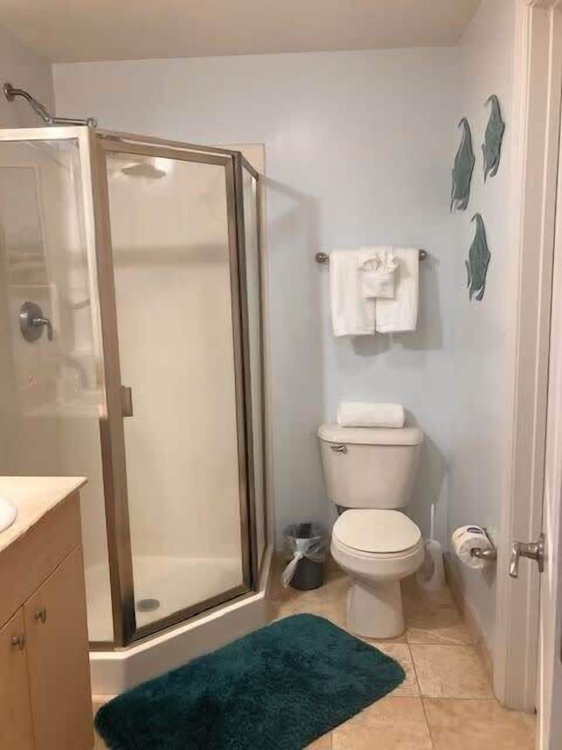 Une salle de bain avec une douche à parois de verre, des toilettes et un lavabo.