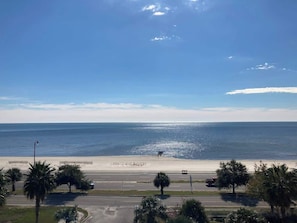 A beach view with a clear sky, palm trees, and a road leading to the beach.