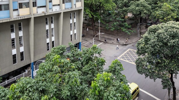 Un edificio a più piani con facciata a griglia, circondato da alberi verdi rigogliosi e un attraversamento pedonale.
