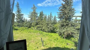 A window with a view of a grassy area and trees, curtains, and a framed picture on the windowsill. - 3-bedroom House in Ninilchik by Deep Creek (Ninilchik)