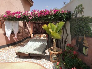 Terrain de l’hébergement 