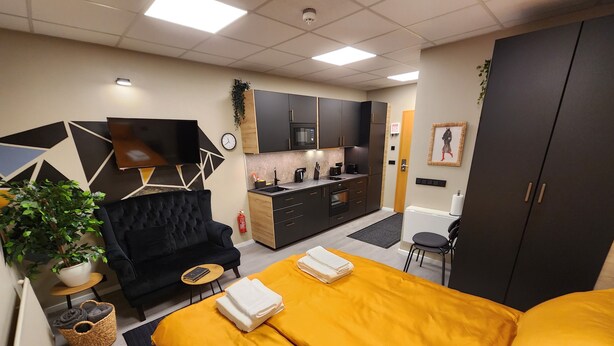 A modern hotel room with a bed, a sofa, a small table, a potted plant, and a kitchenette. - Base apartments Iceland - cozy studio apartment - capital area (Hafnarfjörður)
