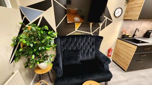 A modern living room with a black velvet sofa, a flat-screen TV, a potted plant, and a kitchen area with wooden cabinets and a sink. - Base apartments Iceland - cozy studio apartment - capital area (Hafnarfjörður)
