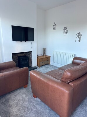 Smart TV, fireplace, books