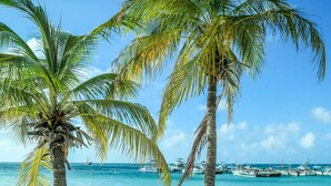 A beach with two palm trees, a white lounge chair, and a clear blue sky. - Ocean Breeze Apt #2 - 1BR 2Beds with pool (Oranjestad)