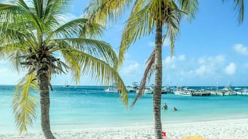 Camastros y toallas de playa