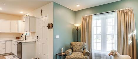 TV, fireplace, books