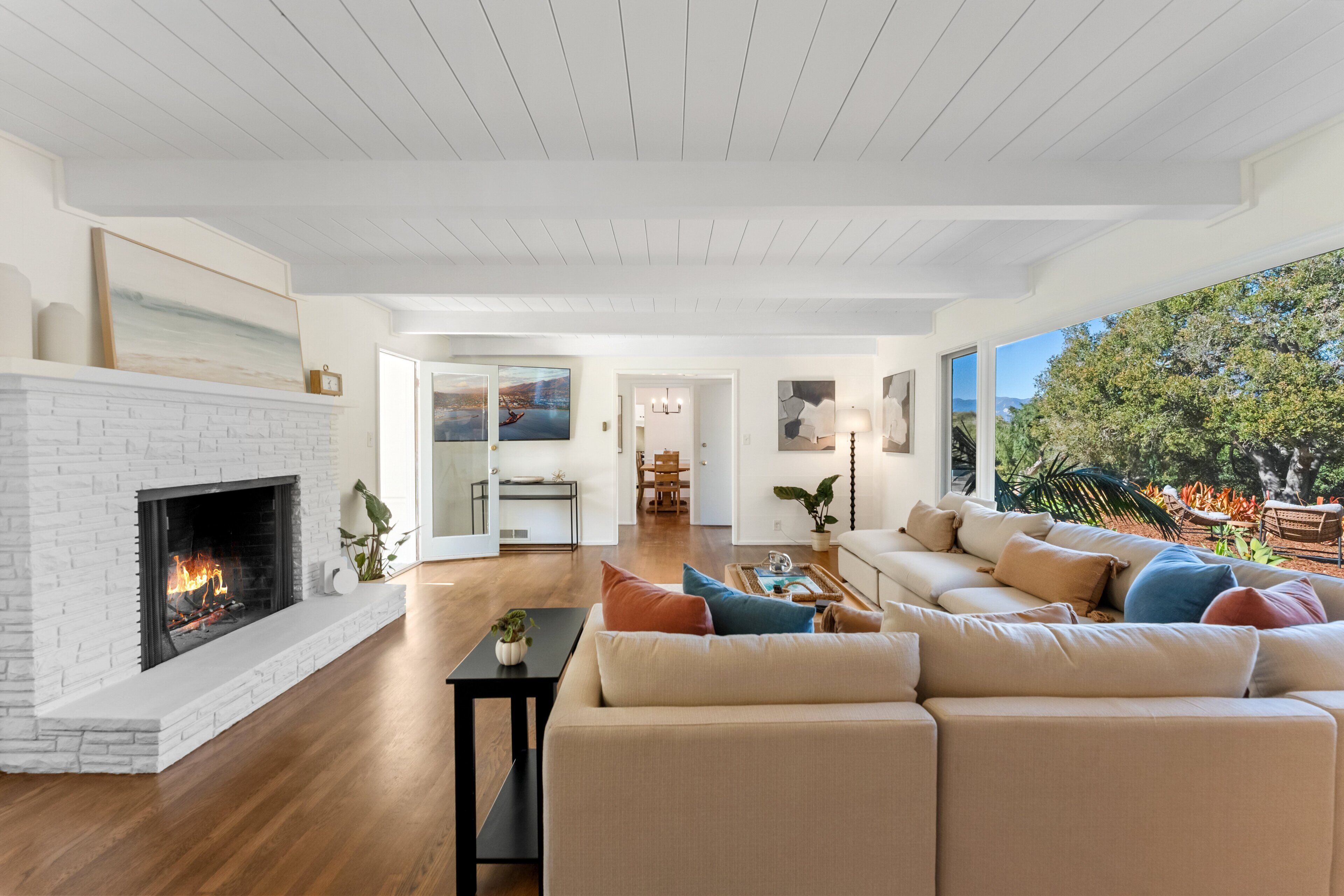 Smart TV, fireplace, books