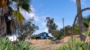 Una casa de color azul, rodeada de hierba seca y diversas plantas.