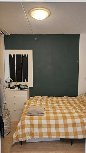 1 bedroom, iron/ironing board, WiFi, bed sheets - Cozy 1 bedroom apartment facing canal (Schiedam)
