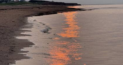 Modern 2BR PEI Suite w/ Fireplace, A/C, Laundry & Lovely Country Views 🌅