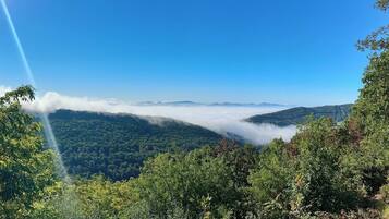 A mountainous landscape with dense forest and a clear sky.