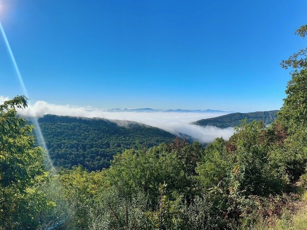 Miscellaneous - Secluded 1BR/1BA Massanutten mountain hideout. (McGaheysville)