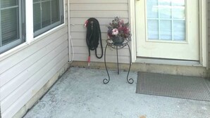 Ein Haus mit einer Haustür, zwei Fenstern, einem kleinen Tisch im Freien mit einem Blumentopf und einem Schlauch auf dem Boden.