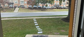 Cozy studio in welcoming Laurel