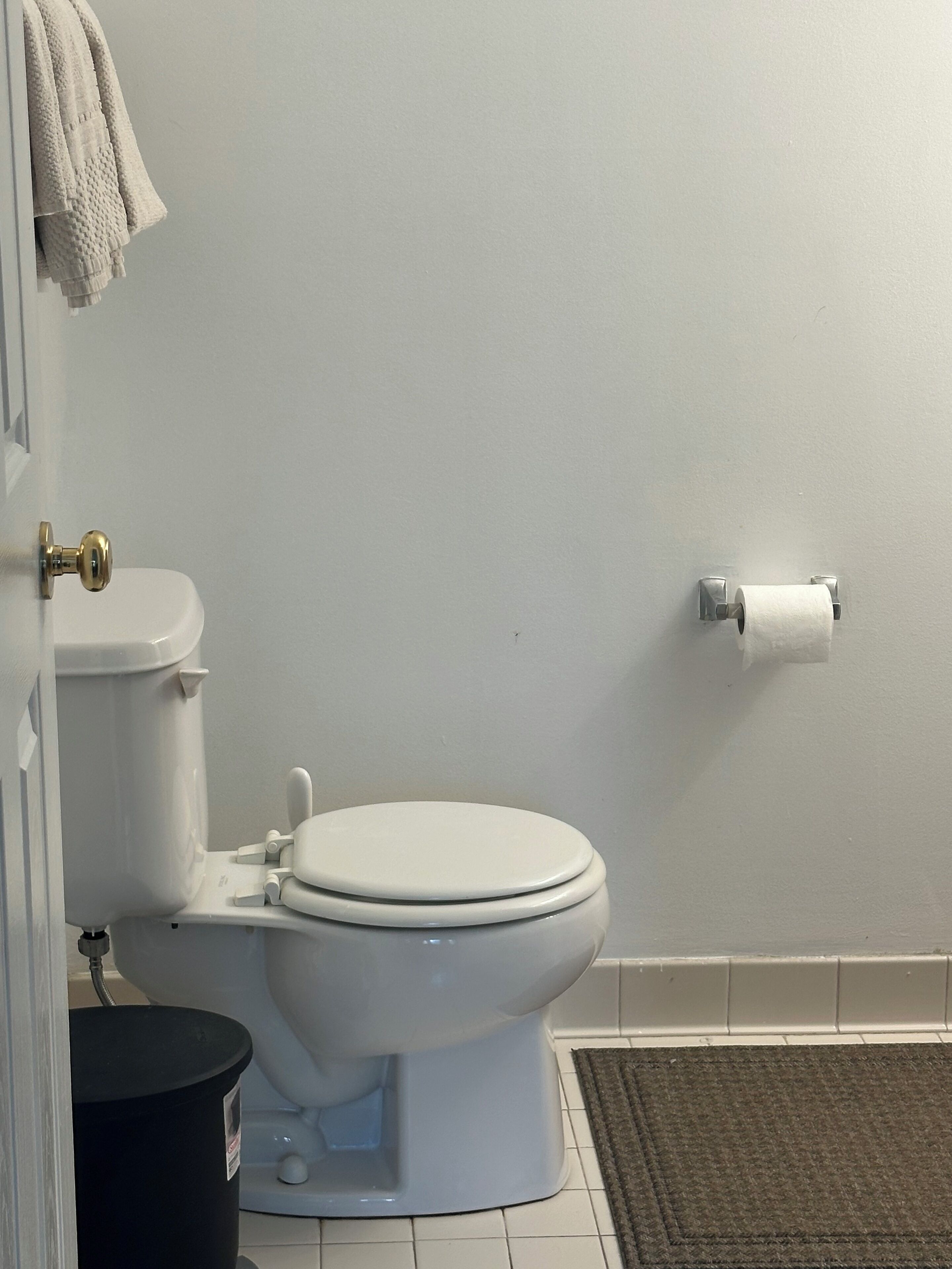Hair dryer, towels, toilet paper