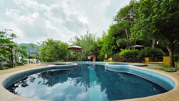 A swimming pool with a curved edge, surrounded by lush greenery and trees. - Cabañas El nido de la Huilota (Tepoztlan)