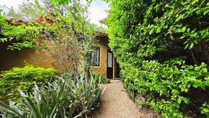 A narrow gravel path leading to a building with a window and a door, surrounded by dense green foliage and various plants. - Cabañas El nido de la Huilota (Tepoztlan)