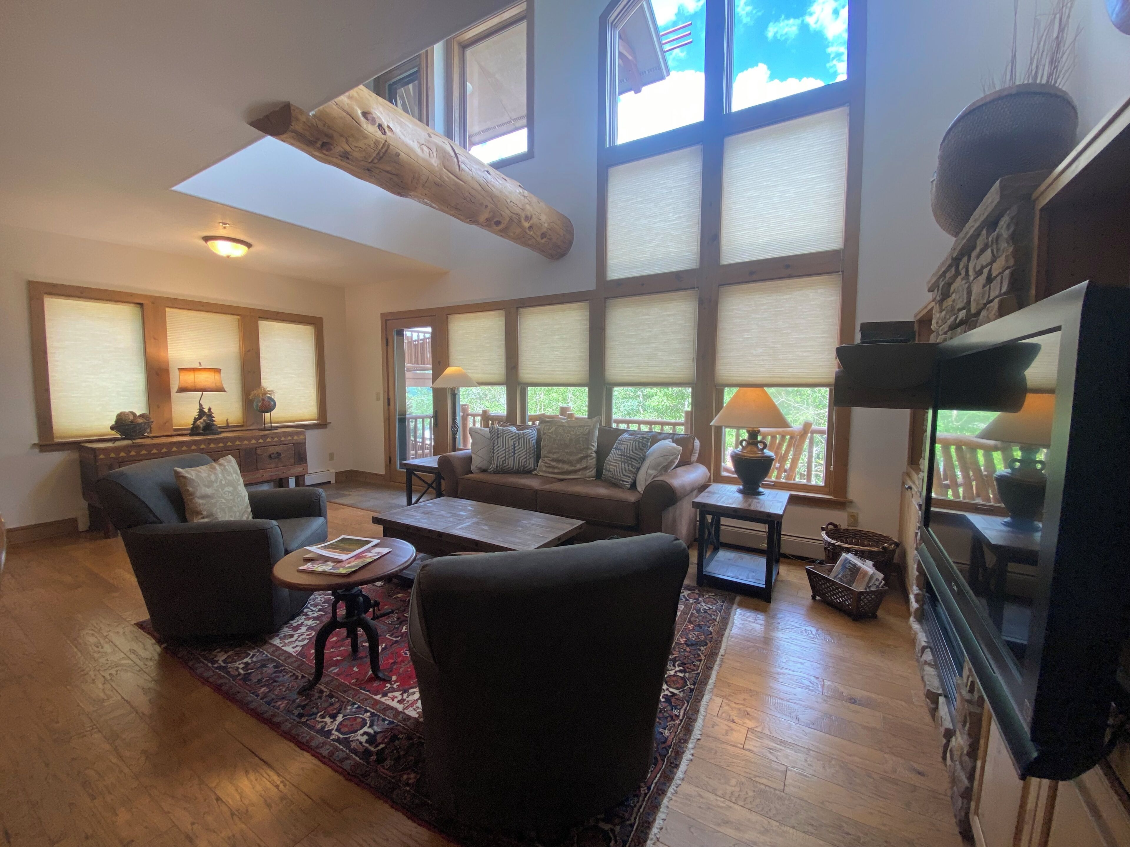 Smart TV, fireplace, books