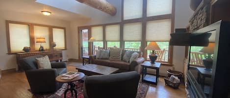 Smart TV, fireplace, books