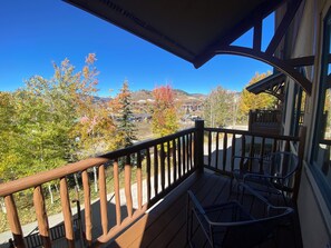 Property grounds - Family vacation in this charming 3-bedroom Treasury Point condo in Crested Butte (Crested Butte)
