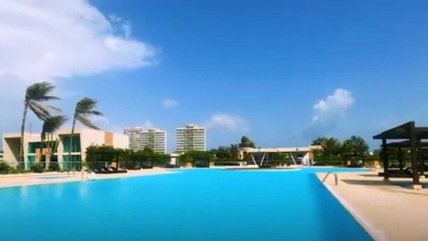 Een groot zwembad met een helderblauwe lucht en palmbomen.