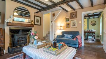 Télévision, cheminée, livres