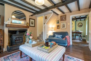 Fernseher, Kamin, Bücher