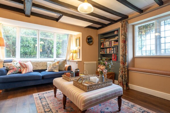 TV, fireplace, books