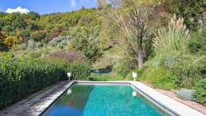 Uma piscina retangular com água azul cristalina, rodeada por vegetação exuberante e árvores.