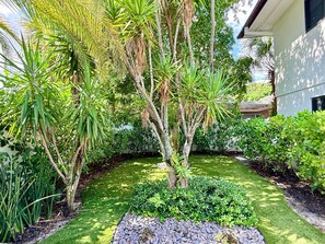 Property grounds - Designer Wilton Manors Villa: Heated Pool, 4 BR, Prime Location (Wilton Manors)