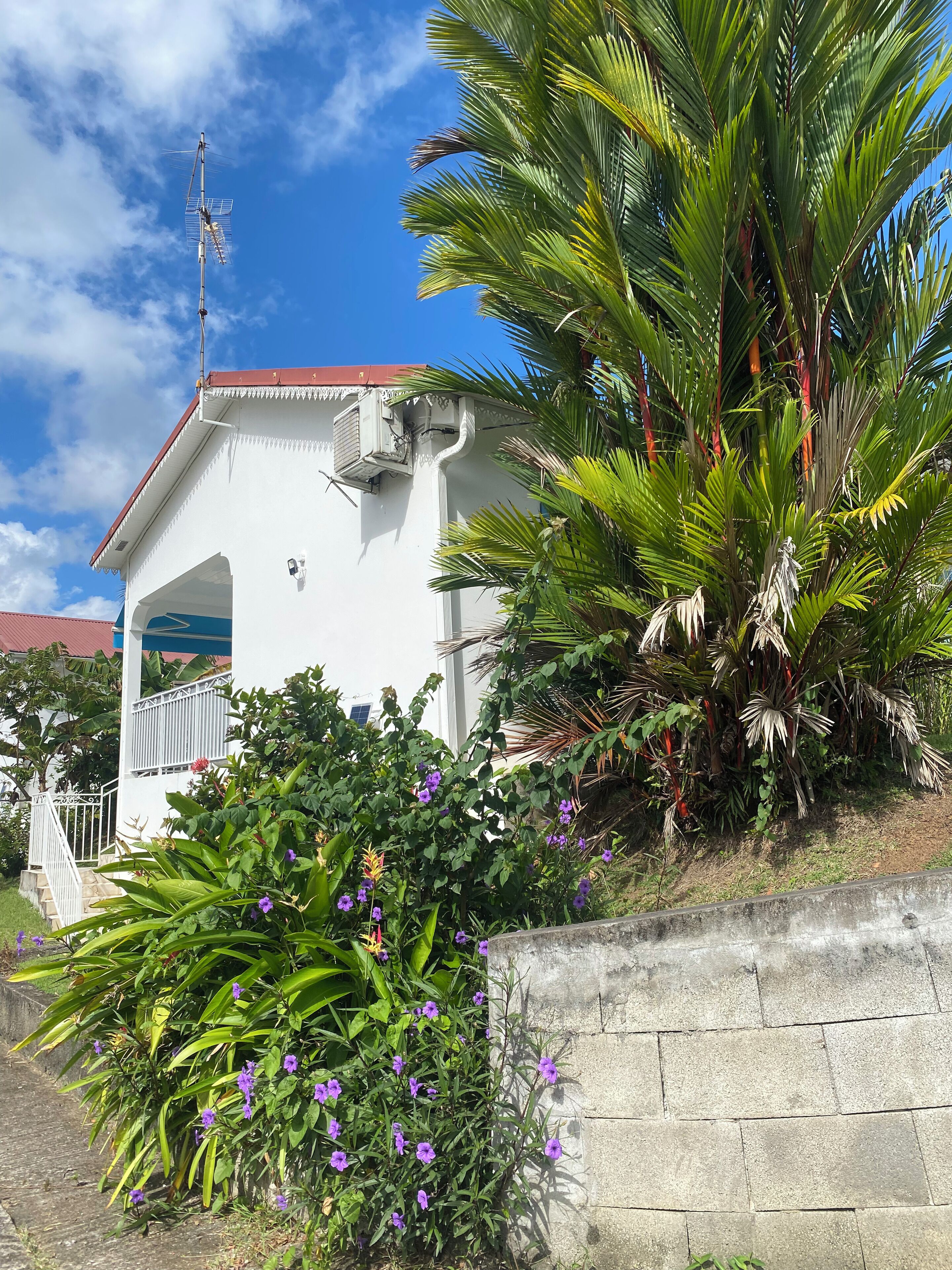 Àrea exterior de l'allotjament