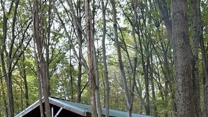 A rustic cabin with a stone foundation and wooden exterior, surrounded by trees.