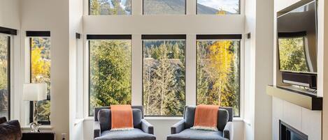 Televisión, chimenea