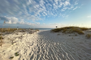 Um caminho de areia na praia, com vegetação rala e céu claro.