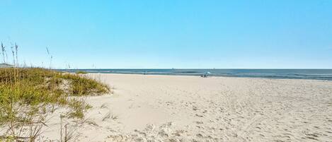 بالقرب من الشاطئ