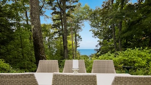 Wicker lounge chairs facing a forested area with a view of the sea. - Experience luxury at Thorne Swift Lakehouse, Harbor Springs - Lake Michigan (Harbor Springs)