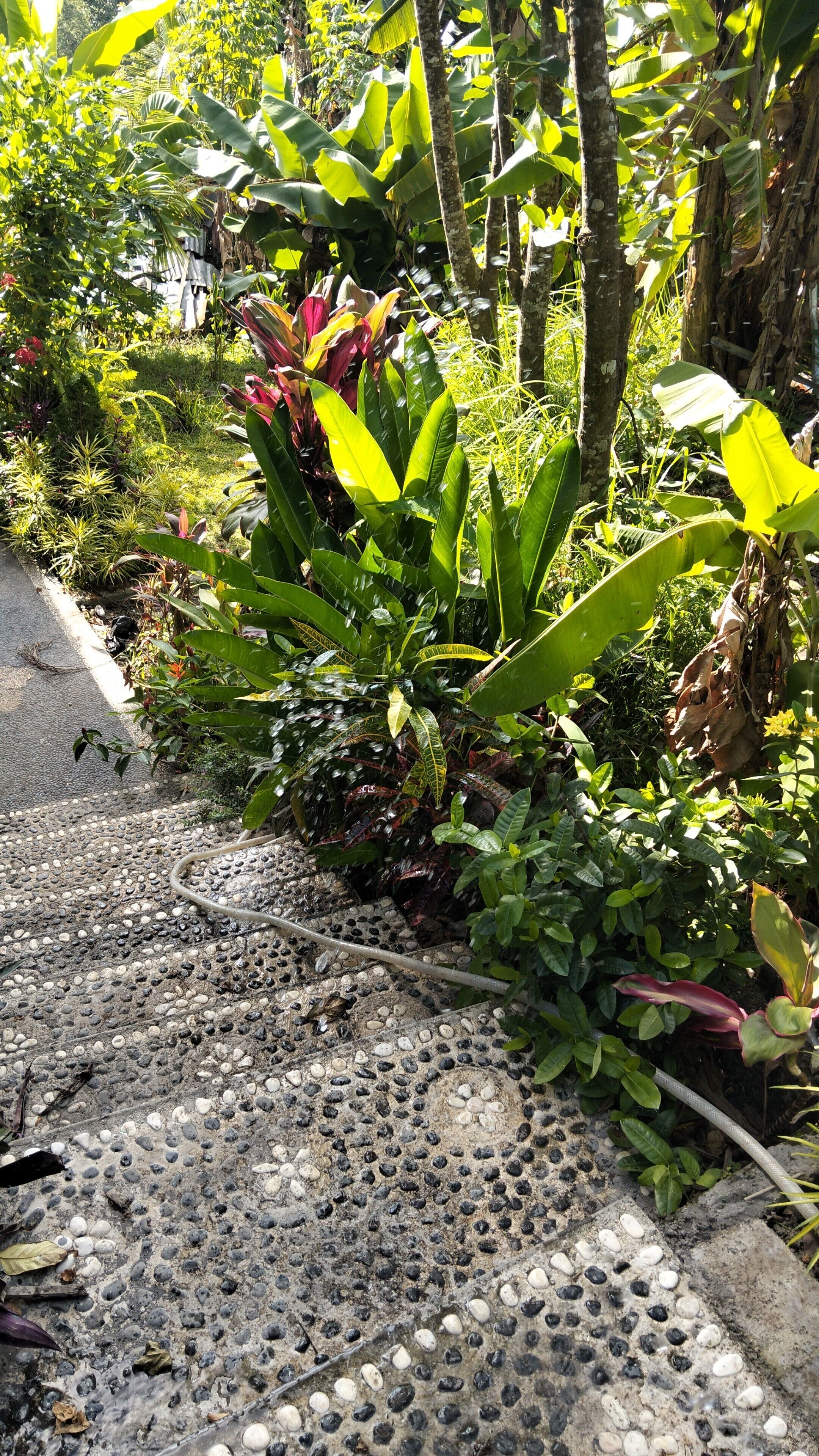 Mặt tiền nơi lưu trú