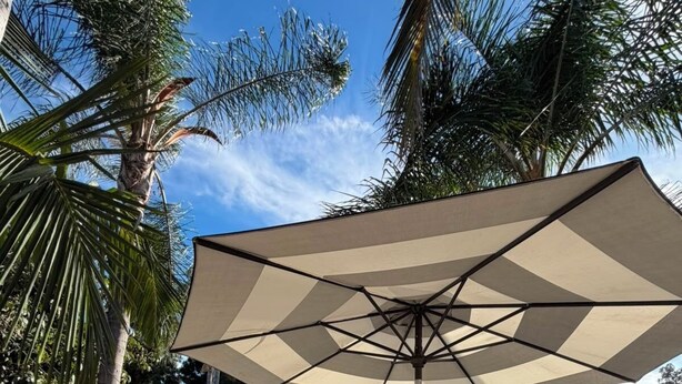 Ein Schwimmbecken mit Fliesen umgeben von Palmen und einer Terrasse mit Gartenmöbeln.