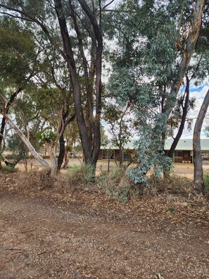 Overnatningsstedets område