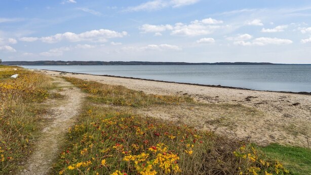 Un sentier côtier bordé d’une plage de sable et offrant une vue dégagée sur la mer.
