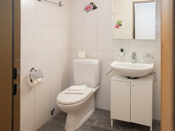 A modern bathroom with a toilet, sink, and mirror.